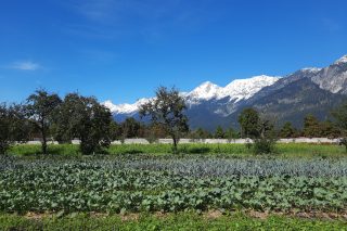 Termine AK Vortrag Alpine Superfoods Nov. 20240918_114021